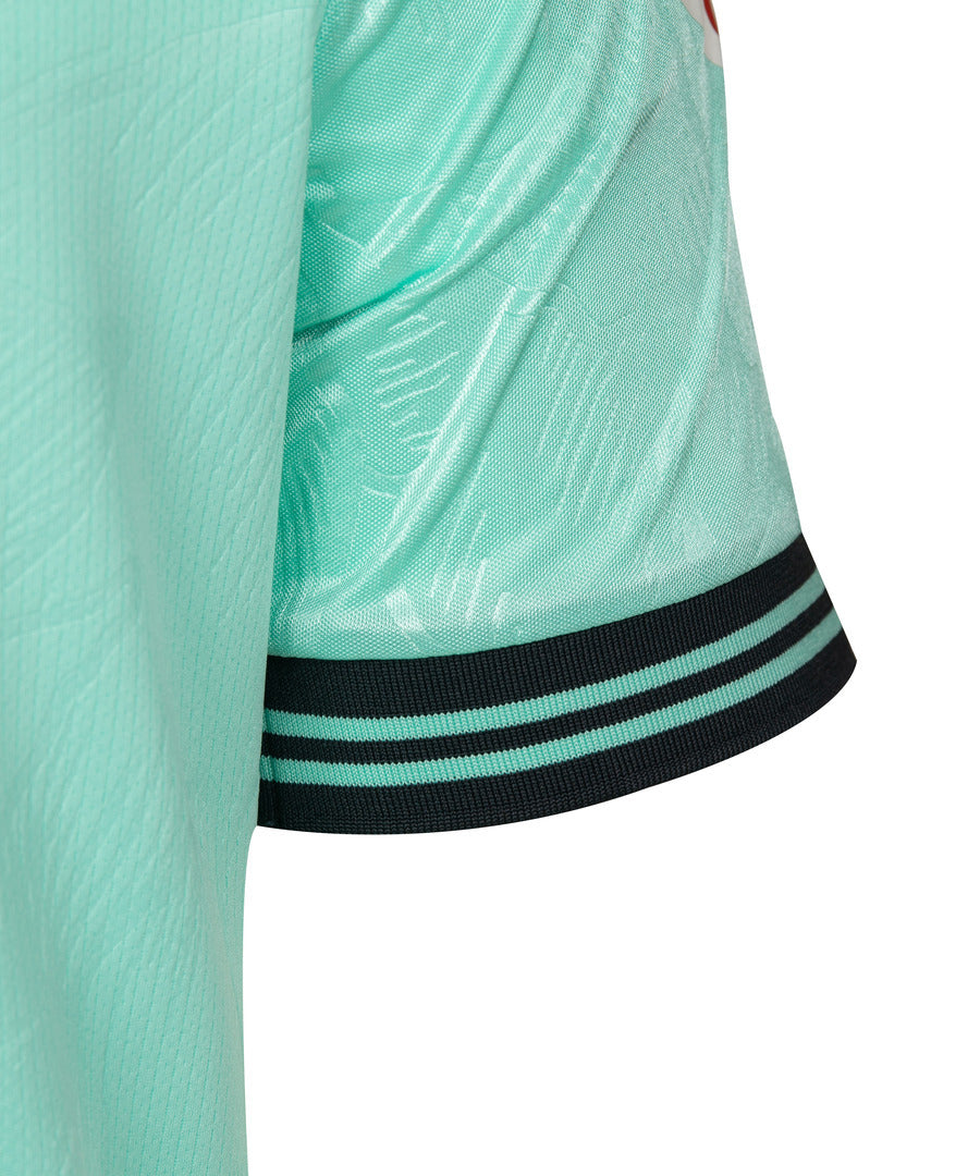 3ª CAMISETA DA BLUE GREEN 26/27 LIMPIA